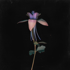 花臂夫妻在线全集免费观看夸克
