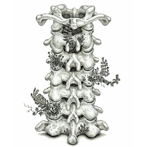 花臂夫妻在线全集免费观看夸克
